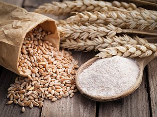 Eine Schüssel Mehl liegt neben einem umgeworfenen Sack Korn. Dahinter liegen ganze Ähren.