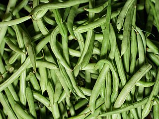 Eine große Menge grüne Bohnen. 