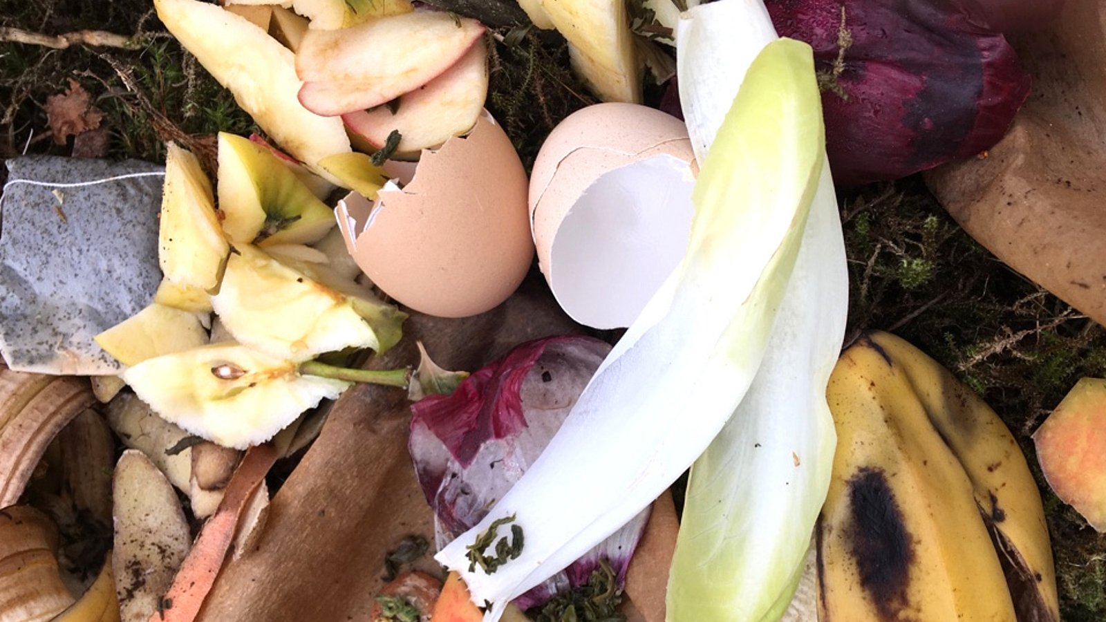 Lebensmittelreste, wie Eierschalen und alte Salatblätter, liegen auf dem Müll