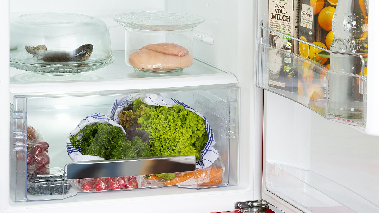 Den Kühlschrank richtig nutzen - Zu gut für die Tonne