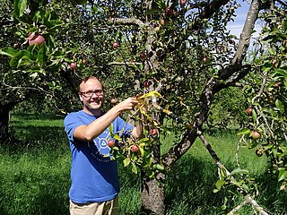 Jens Heussler beim Äpfel sammeln.
