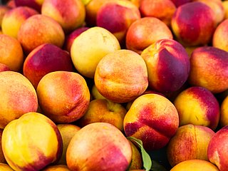 Mehrere Nektarinen liegen aufeinander.