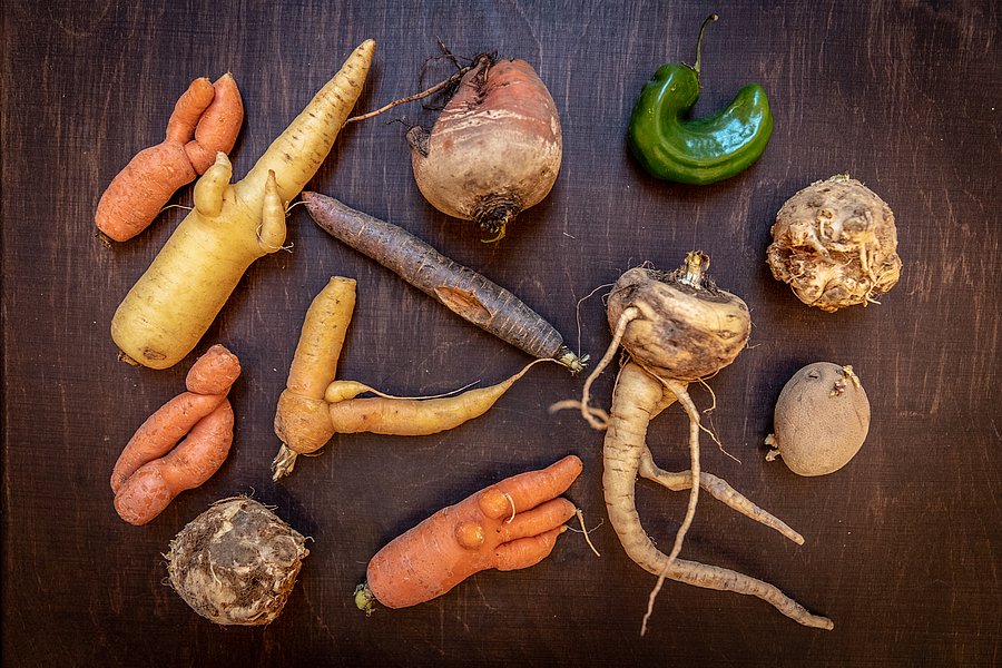 Verschiedenes krummes Gemüse wie Karotten, Kartoffel, Sellerie und Rüben.