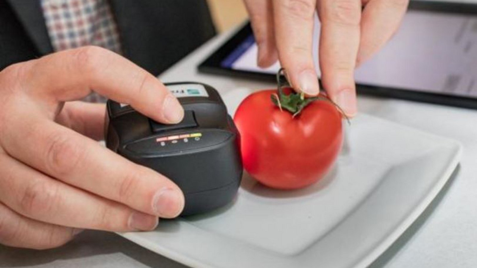 An eine Tomate wird ein kleiner Foodscanner gehalten.