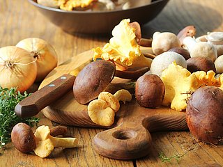 Verschiedene Pilzsorten liegen auf einem Holzbrettchen.