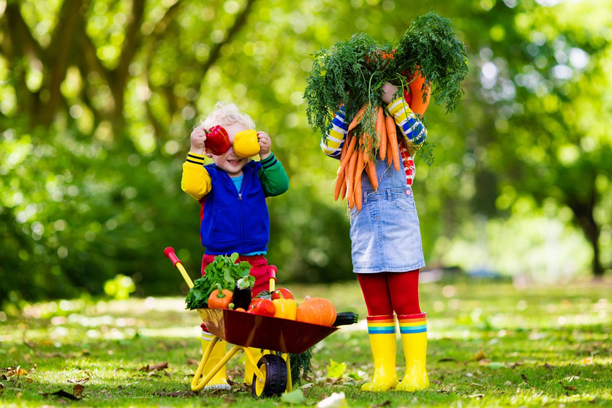 Kinder stehen im Garten mit einer Schubkarre voll Gemüse und halten sich lachend Gemüse vor das Gesicht.