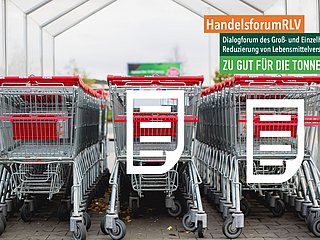 Mehrere Einkaufswägen eines Supermarkts