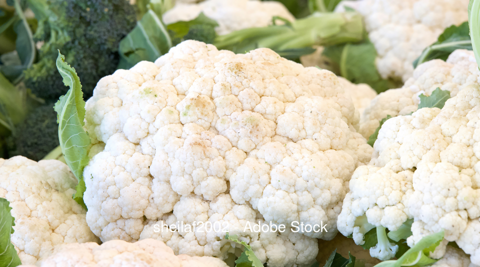 frischer knoblauch aufbewahren Zwiebel-Ingwer-Knoblauch-Aufbewahrungsbox, Sicheres Material, Vermeidet Gerüche, Vielseitig Einsetzbar, und Praktisch, Geeignet für die Aufbewahrung Im Kühlschrank, Ideal CVUA Freiburg | Bunte Erinnerungskiste_klein Größenauswahl:1.400 ml Fassungsvermögen (10 x 10 x 20 cm)